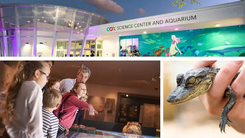 Cox Science Center and Aquarium - Best things to do indoors West Palm Beach